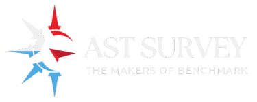 Benchmark Survey from AST Software